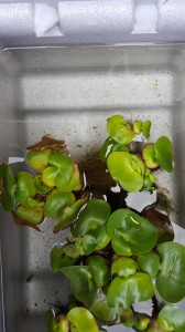 20170605104020.jpg
