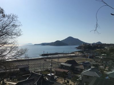 IMG-3586.JPG