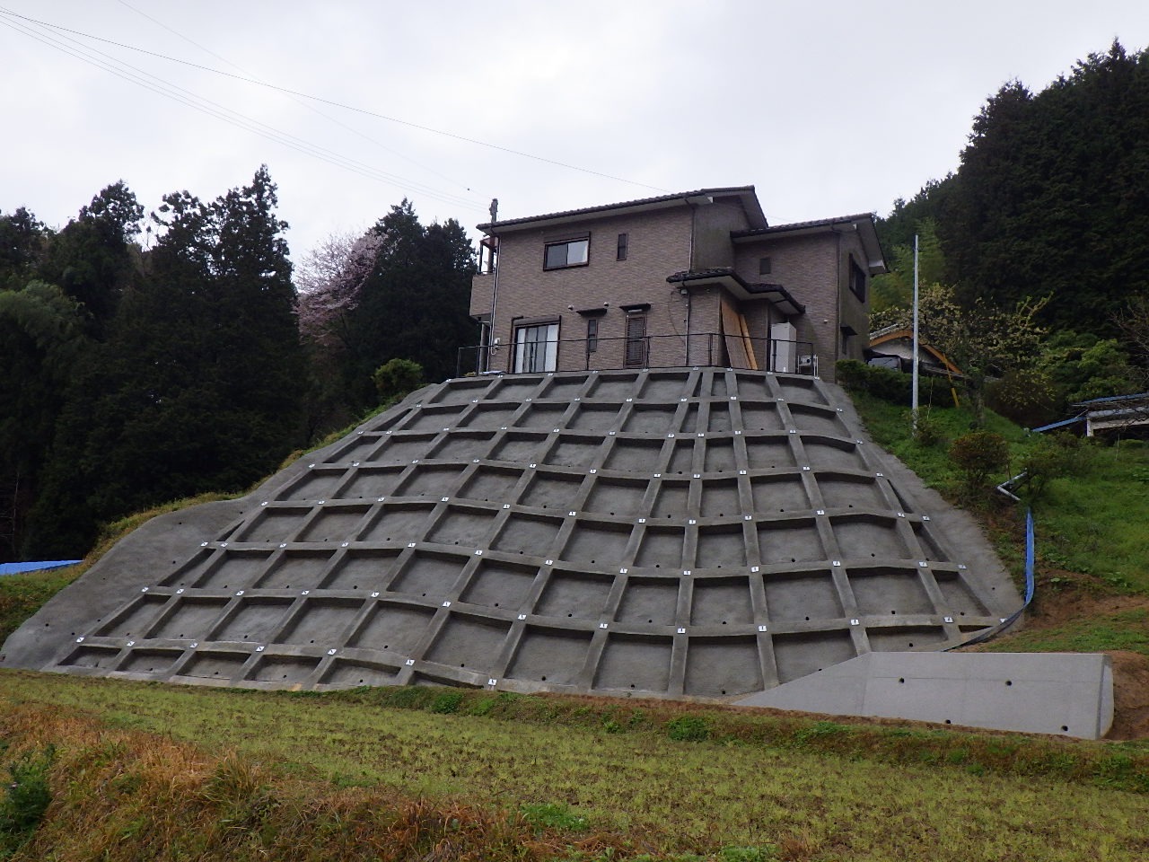 有限会社田中総業