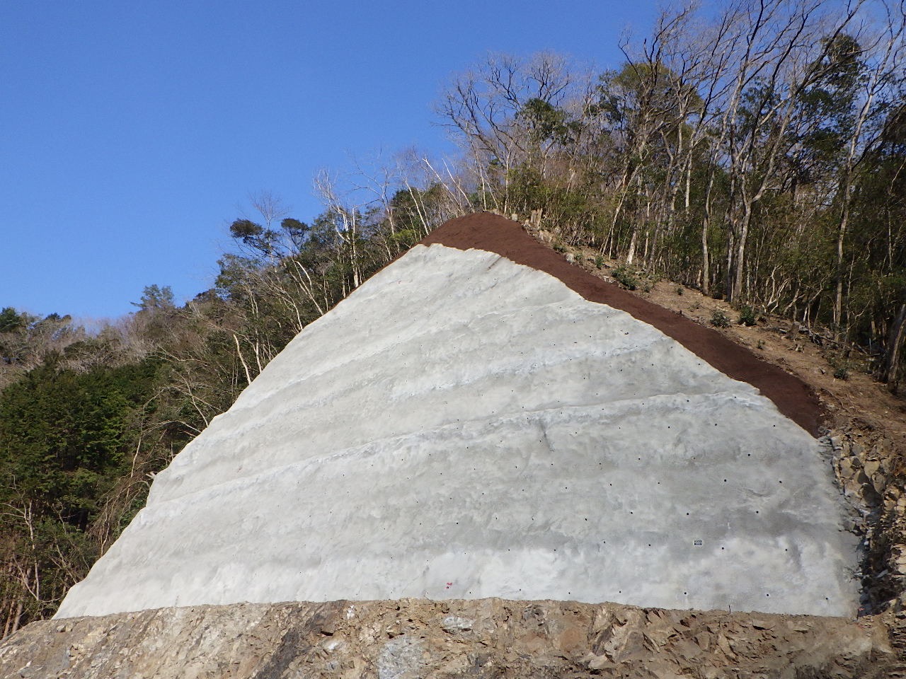 有限会社田中総業